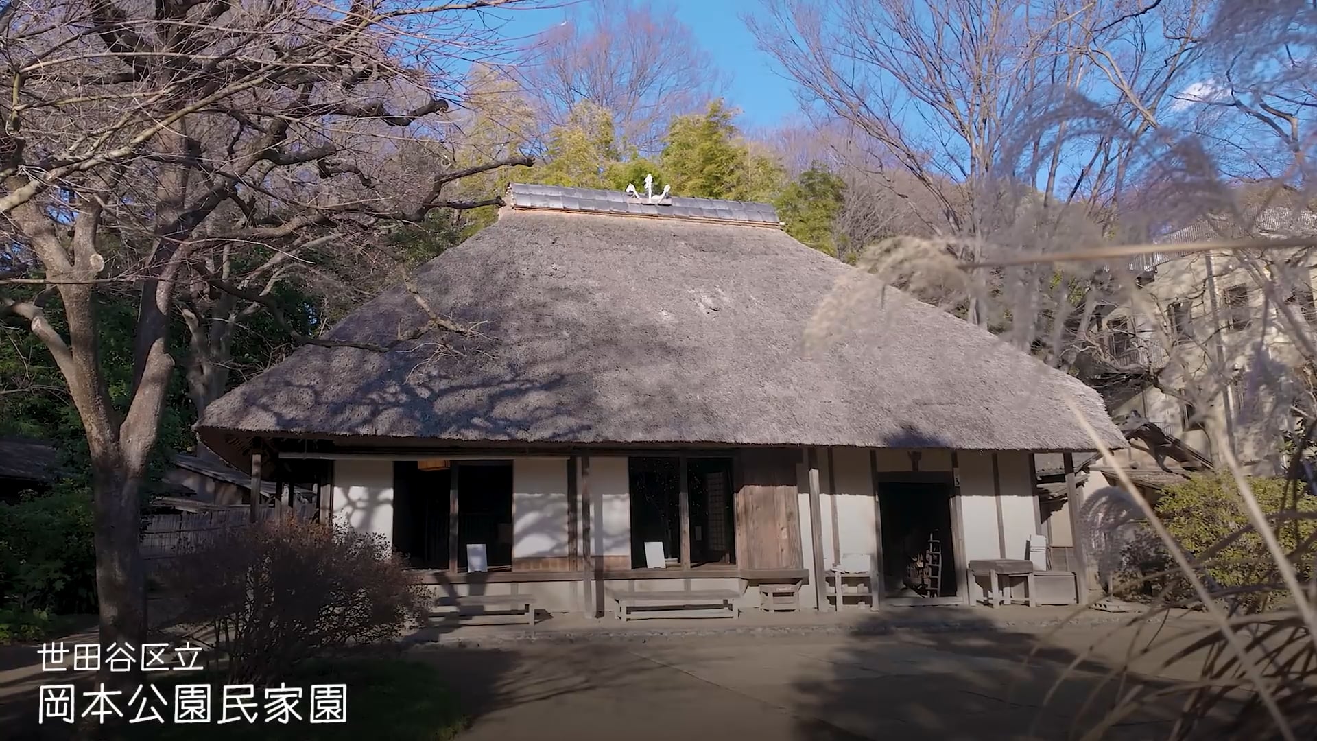 施設紹介動画
